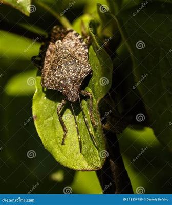 手游代理與票務代理的入門指南 從洗發手游到票務服務的全方位解析